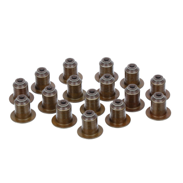 Seal Set, valve stem - 12-12643-01 VICTOR REINZ - 0XW109675B(16X), 2011589(16x), GK2Q6571AA(16X)