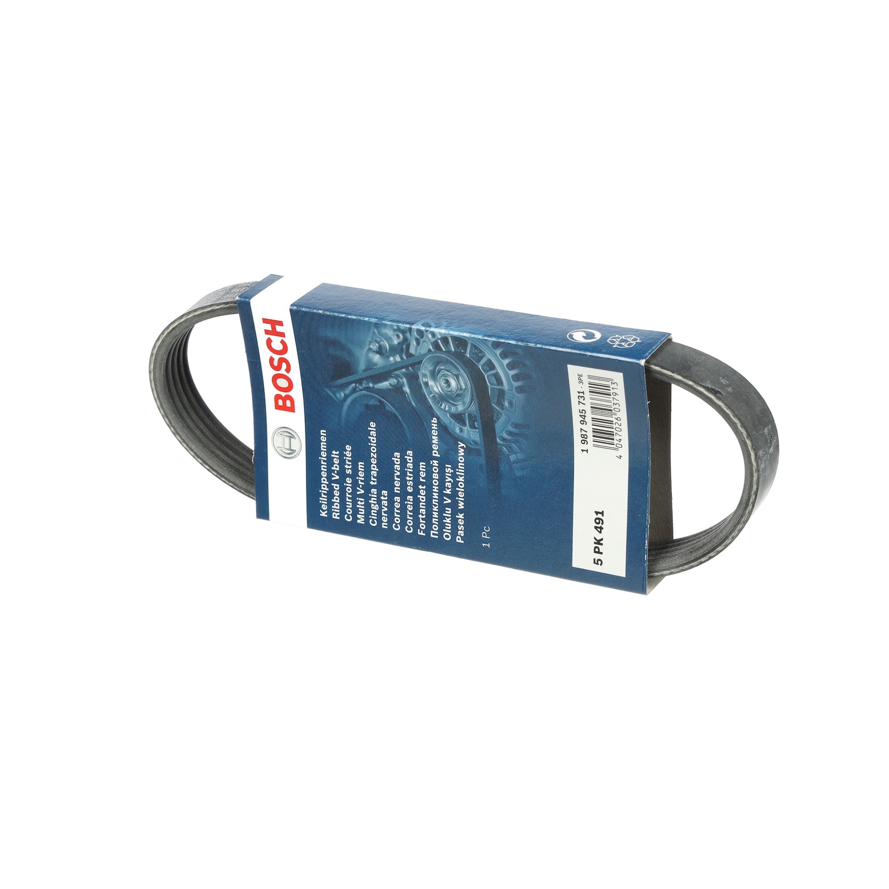 V-Ribbed Belt - 1987945731 BOSCH - 03C145933A, 5PK488, 5PK491 | K 