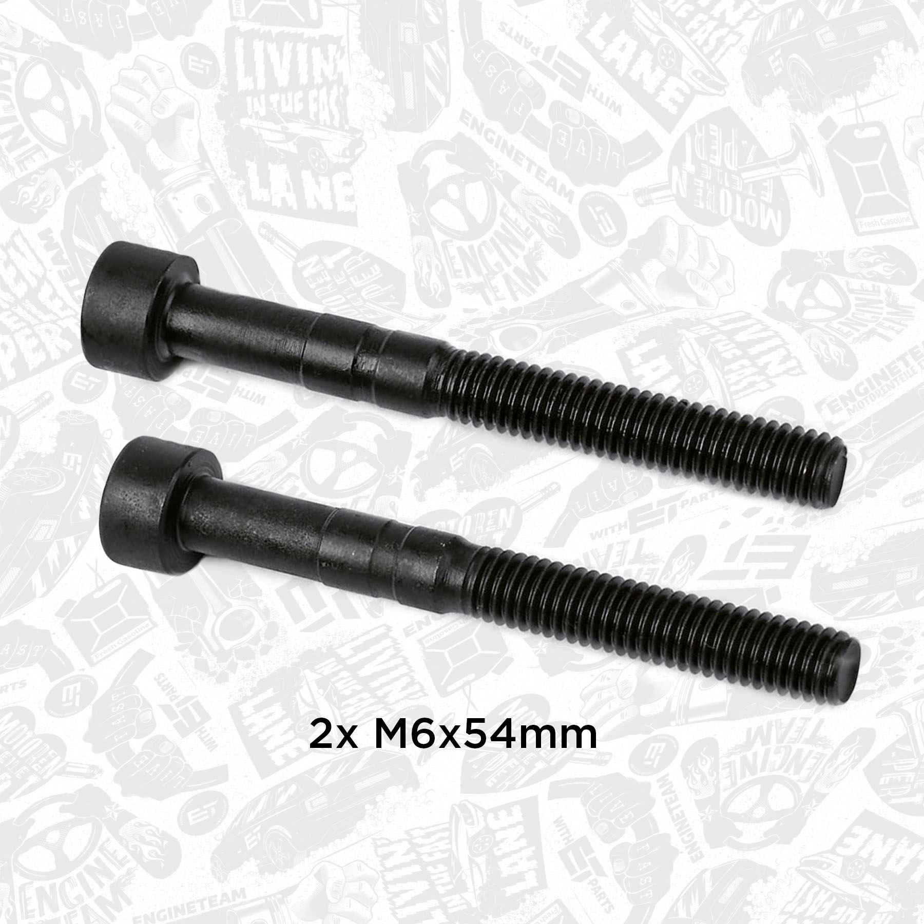 Camshaft cap bolt 2 pcs M6x54 BS0002 ET 038103714G