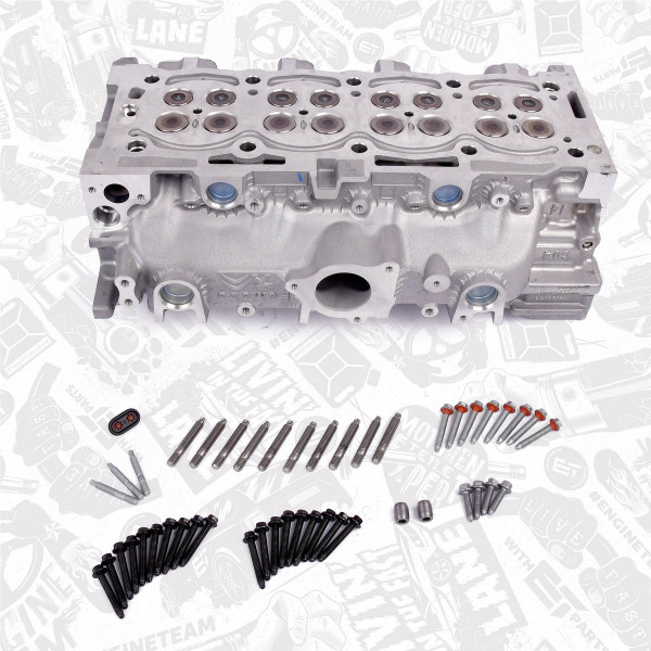 Cylinder Head + valves HL0133 ET 1609073180, 1864346