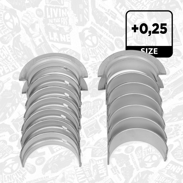 Crankshaft Bearing LH000325 ET 37011610, H1021/70.25MM