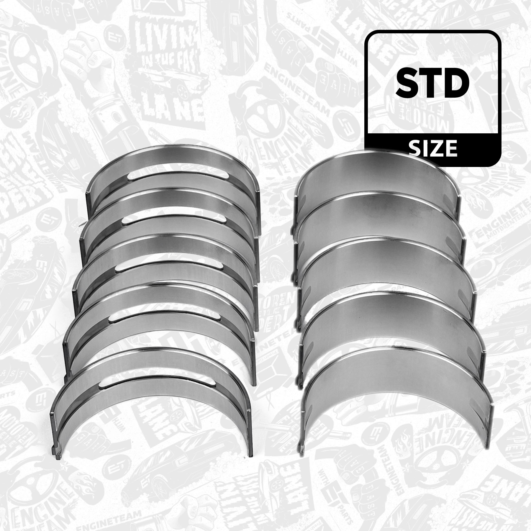 Crankshaft Bearing Set LH001900 ET 210204A920, MS