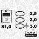 Piston Ring Kit - R1009700VR1 ET ENGINETEAM - 03048N0, 070198151, 08-421000-00