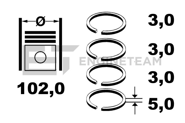 Piston Ring Kit - R1011000 ET ENGINETEAM - 50110096, 5011, 5011-0096
