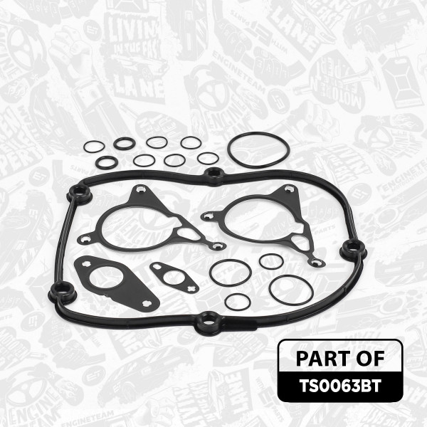 Gasket Set, cylinder head + bolt set TS0063BT ET