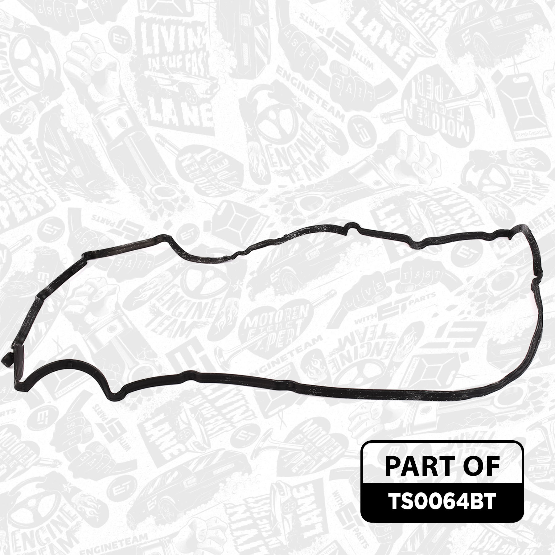 Gasket Set, cylinder head + bolt set TS0064BT ET 1891382