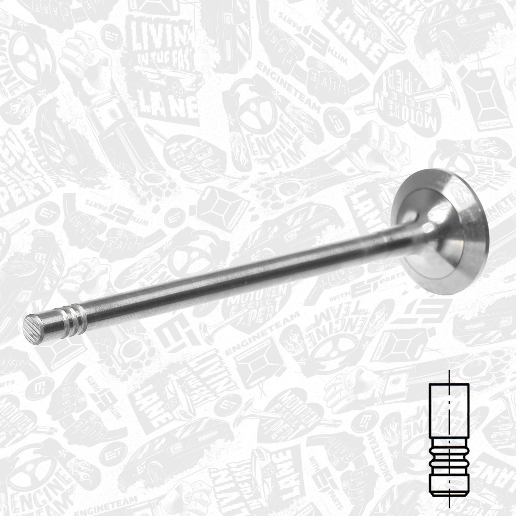 Exhaust Valve VE0178 ET 132025379R, A2000530100