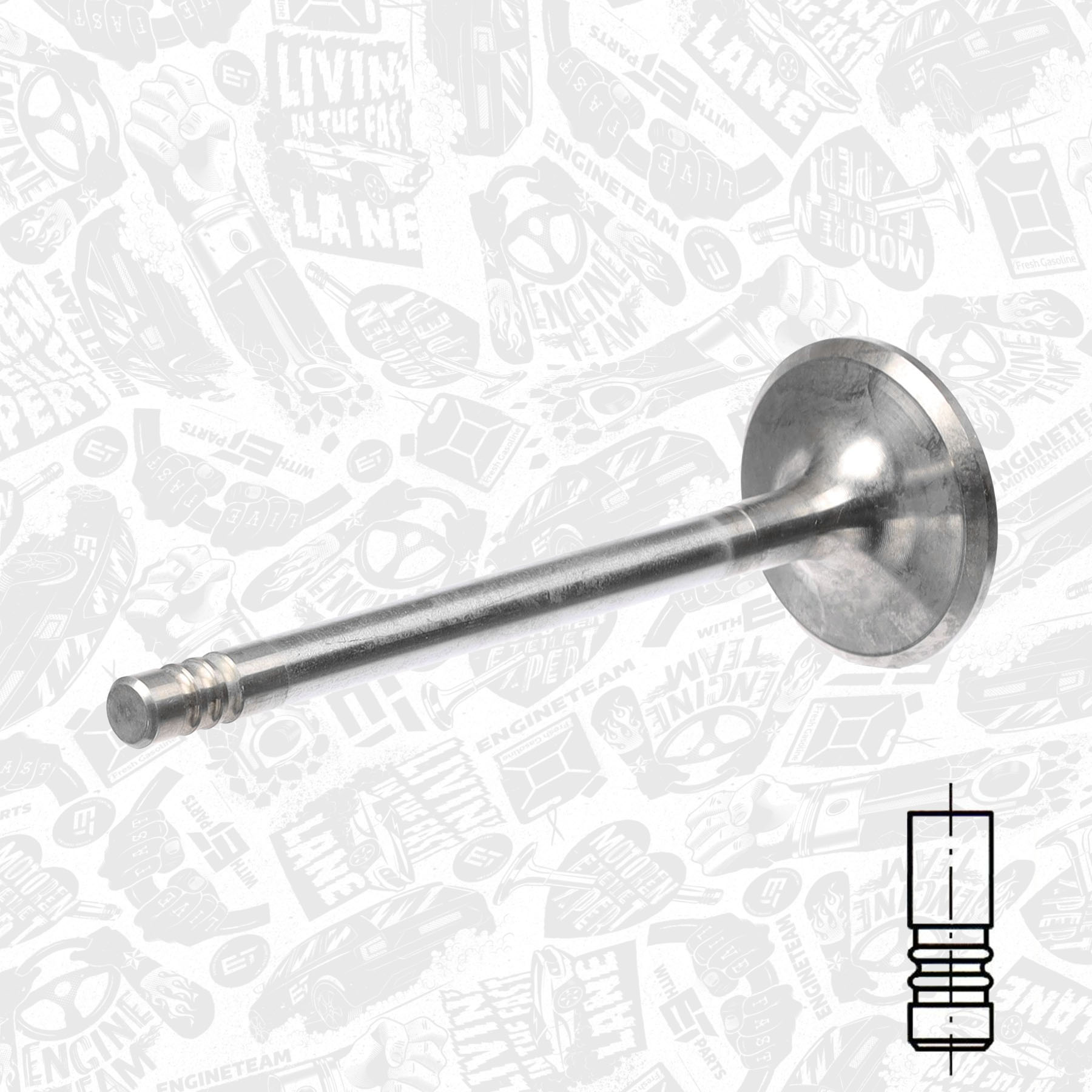 Intake Valve VI0074 ET 047109601D, 331053, R6179/CR K