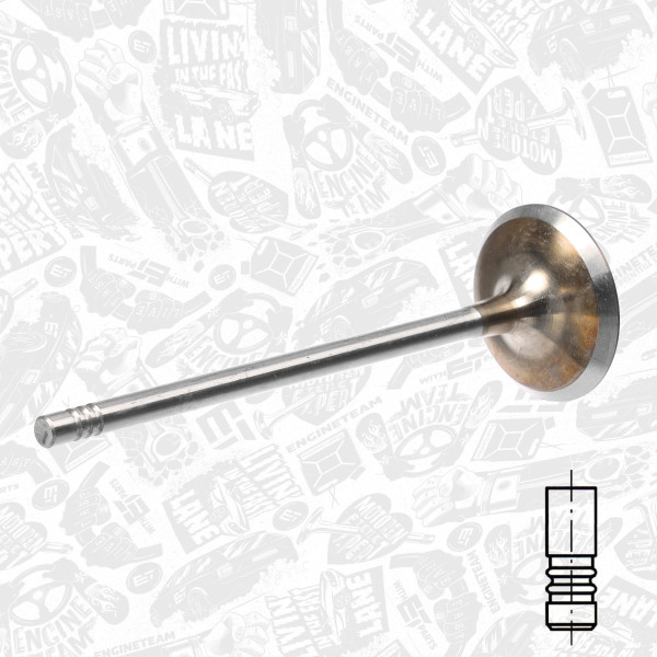 Intake Valve VI0179 ET 11347583777, 11347583779, 111223