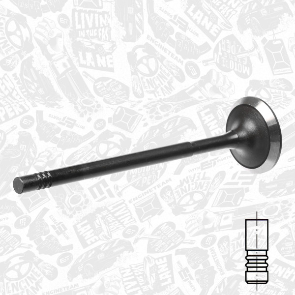 Intake Valve VI0182 ET 132013562R, 2810530100, 132013562R K