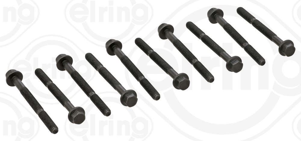 Elring 760.720 Nuts and Bolts 