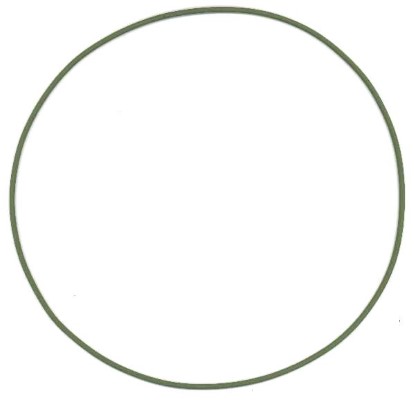 Těsnicí kroužek o-kroužek, vložka válce - 825.123 ELRING - 0149978648, 0159979048, A0149978648