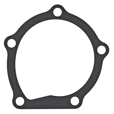 925.170, Gasket, water pump, ELRING, 09052812