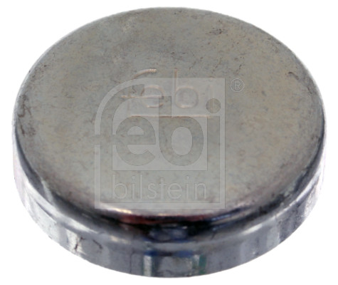 FE02543, Protimrazová zátka, Zátka mrazová pr.34, FEBI BILSTEIN, 011056093, 05073860AA, 11056093, 2060665, A000000004057, A000443034002, 000443034002, 06807632AA, 5073860AA, A4039970420, 000000004057, 6807632AA, 4039970420, 010.1417, 02.67.043, 04349, 104243, 203184, 2543, 4.50183, 560987, 75-52754-SX, 84026, 8EPL1011, 99902543, BF0425460008, BSG65-122-001, UPG001000443034002, WG2313883, Y1493