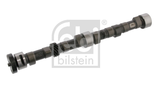 FE05118, Vačkový hřídel, Vačka, FEBI BILSTEIN, 6165215, 89BM6251BA, 215201, 428003710, 50310008, 5118, 93108100, AC8131, AZMT-30-053-2080, BSG30-108-007, CAM383, EC292, HV0252, MVE2039C, T8131, WG1051389, AC8132, MVK3008, T8132, WG1171842, MVK3008C, WG2431007