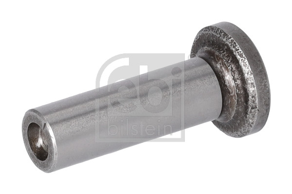 FE06323, Tappet, FEBI BILSTEIN, 1044107, 1475650, 1662935, 6165225, 17-0051, 45-4124, 50180015, 6323, 89BM-6500-AB, 955129, ACF105, AZMT-46-032-2207, CF05, CF1497, ET2089, FOL85, GC0590060, MVE1953, WG1052511, 95BM-6500-A1B, ACF105A, AZMT-46-032-2209, CF05A, CF1498, ET2107, MVE2038, WG1052513, ACF105B, CF05B, MVE2039
