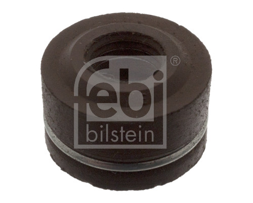 FE06645, Dichtring, Ventilschaft, FEBI BILSTEIN, A1020530258, A1020531658, 1020530258, 1020531658, 010.3102, 02.12.008, 10906645, 114007, 12005600, 12015876, 143016-8300, 16.220.48, 26919, 4S-037-V, 50-306667-70, 520059, 6645, 70-25227-10, 763.969, AR04078, P76544-00, UPG70-27408-00, WG1085605, 02.12.030, 12049700, 12052008, 521886, 70-28424-10, P76550-00, WG1103715