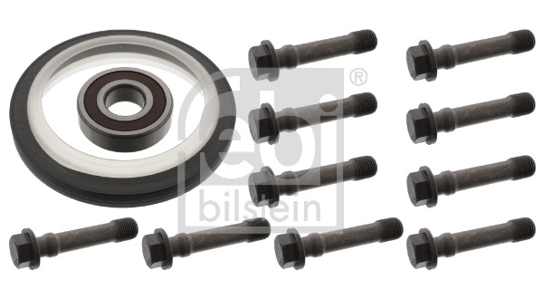 FE100151, Sada na opravy, setrvačník, Sada na opravy, setrvačník, FEBI BILSTEIN, 51.01510.0206, 51.01510.0206S4, 51.93410.0100, 51.93410.0100S4, 51.93410.0143, 51.93410.0143S4, 01016688B, 01-10334-01, 021.072, 030.390-00A, 04.23.044, 07814-118, 1.10311, 11.050.0243.280, 130.832, 15078000, 1863606305, 28520961, 297010, 412358-FP, 50-305151-00, 520289, 6305-2RS, 6305-2RSC0, 69249, 740233, 766.829, 81-01077-SX, AR00722, IB4263