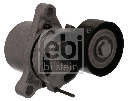 FE100168, Napínák, žebrovaný klínový řemen, Napínák, FEBI BILSTEIN, 11287619248, 001-10-26148, 0053.5797-E, .005.4075, 03-1764, 03-41312-SX, 03.82062, 0-N2448, 11456301, 15-4240, 1987600316, 1987-R61, 20100168, 3009031125, 32180BW, 500342, 534062710, 54-1184, 542764, 5481FB0005884, 655245, 802340, 821208401, 8550513844, 89570, 8TLV1063, 91747, 93-2527, 950326, AA1218