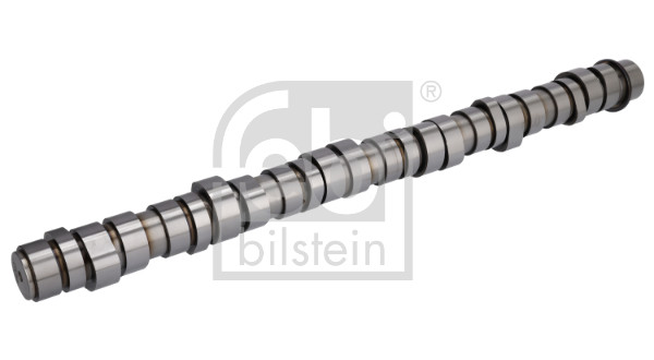 FE1001966, Vačkový hřídel, Vačkový hřídel, FEBI BILSTEIN, 21378520, 7421378520, 22430560, 7422430560, 22431879, 7422431879, 22431879SK, 7422431879SK, 22584596, 7422584596, 22584596SK, 7422584596SK, 23289160, 7423289160, 23289160SK, 7423289160SK, 030.3189, 143020, 20100413009, 2.10643, 29674VO, 30560-CC, 50013000027, 8CAM1047, ENT080051, UPG00423289160, 31879-CC, 60013000014, 78520-CC, 84596-CC