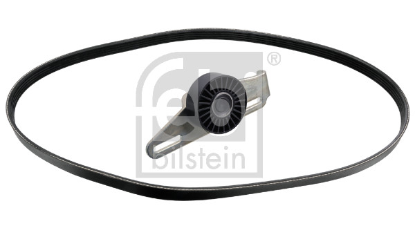 FE100306, Sada žebrovaných klínových řemenů, řemen klínový, FEBI BILSTEIN, 117201773R, 001-10-28048, 11767001, 18-08-0003-00, 1987600720, 20-2158, 2487-KANI, 381576, 529044110, 5KSY1110K1, 60100306, 63024z, 703163, 8660004401, AD03002, F905PK1113, K055PK1113, KA757, KA855.44, KCA0025, KGA4033, KHV174, KPV072, KSPA219A, NAK3062, QDK28, R0387, RECKPV072, RRN-170702, SKD219A