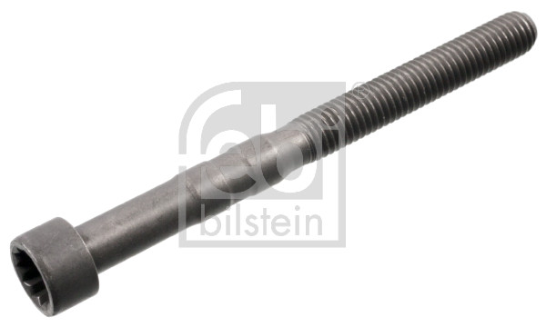 FE100726, Schraube, Kipphebelwelle, FEBI BILSTEIN, 038103714A, 38103714A, 119150, 30100726, 49-5116, 79-21002-SX, 917.290, ARHB01, BF0442760046, BS0003, RHB01, SKCSK-6980036, UPGVW038103714A, WG1306552, BS0004, WG2185026, BS0005, HL0085VR3, HV0338ET, HV0338KS, HV0338VR1, HV0338VR2, HV0338VR3, HV0338VR4, HV0339ET, HV0339KS, HV0339VR1, HV0339VR2, HV0339VR3, HV0340ET