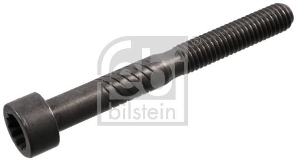 FE100729, Schraube, Kipphebelwelle, FEBI BILSTEIN, 038103714, 038103714G, 38103714, 38103714G, 096.410, 119151, 2411065, 2698-001-PCS10, 30100729, 4BOL1003, 567C0053, 73993, 79-21002-SX, ACCB543, BF0442760048, BS0001, CCB543, DRM02415, FT12949, MVU5017, PD002, RAD-1010019, SKCSK-6980036, UPGVW038103714G, WG1309210, 4BOL1004, ACCB543SET, BS0002, CCB543SET, SKCSK-6980053