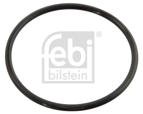 FE10258, Dichtung, Thermostat, FEBI BILSTEIN, A0019973345, A0159972348, N90560801, 0159972348, 0A121119, 0019973345, 00A121119, 001-10-19259, 002085, 002.240, 010.5403, 02.67.006, 104534, 10910258, 11073, 1114650700, 120143, 135213, 16033800, 1.890.527, 313806, 32923, 33613, 350174A, 4010518, 40-76149-00, 4.20723, 521553, 590527, 61582MR