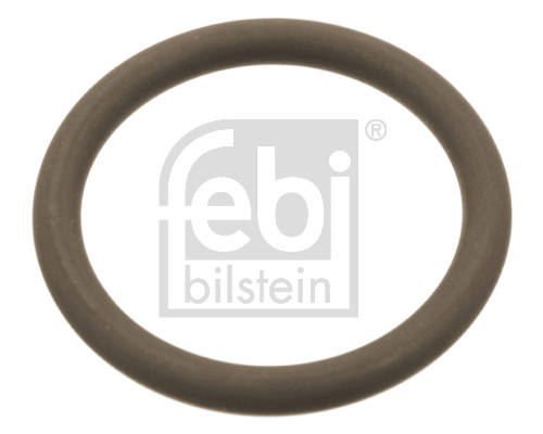 FE102763, Těsnění, držák trysky, Těsnění, FEBI BILSTEIN, 20799119, 7420799119, 115.A678, 123802, 3.89517, 520577, 804.380, 99119-SR, UPG00420799119, WG1500747, WG2323080