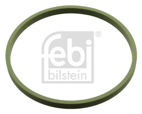 FE107960, Dichtring, Drosselklappenstutzen, FEBI BILSTEIN, 036133073, 36133073, 11-26239-SX, 115256, 24030600, 30107960, 511-077, 601783, 981.230, DRM02792, I01040030, LEG0093IN, WG1452098, Z15782, ZVBZ0297, 604739, I01040438, WG1966931