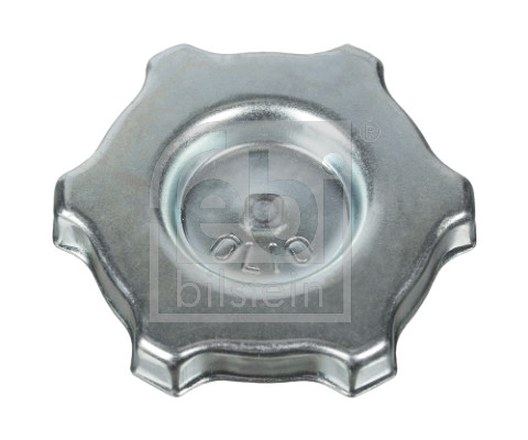 FE12374, Cap, oil filler neck, FEBI BILSTEIN, 004232606, 0258.43, 4232606, 0004232606, 258.43, 46437840, 98418980, 04232606, 065.465, 106396, 134010, 15975, 23/3660, 29625, 314145, 31644, 35988, 42586, 490135, 597S0015, 67.4200, 70220001, 7.50545, 774859, 8082, GOM-OSC0041, OSC-0041, P774859, SKSCO-3700014, T431644