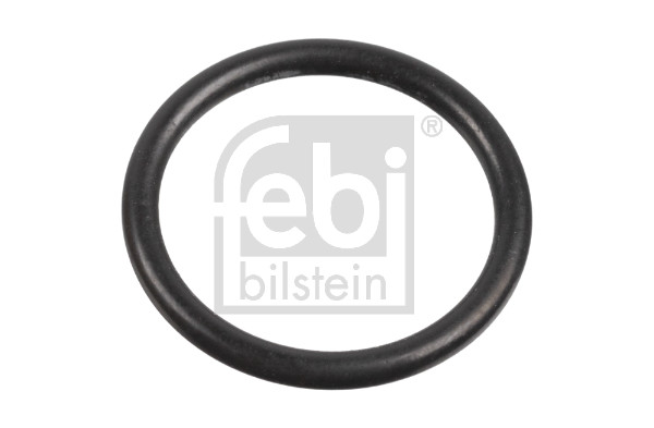 FE171586, Dichtring, Einspritzventil, FEBI BILSTEIN, A0289976845, 0289976845, 4.20902, 7722012