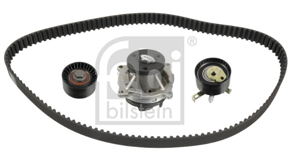 FE173254, Water Pump & Timing Belt Kit, FEBI BILSTEIN, 1000156, 1000156S3, 04.5219, 07-140, 09-04891-SX, 129FL25.4, 129HTDP25, 129XR25, 1611469680, 18-06-0058-00, 20-1166, 23603, 30-0741-1, 306T0095, 33101714, 4497V, 530006630, 550232, 5508XS, 7000135, 8550514571, 86455508XS, 988X-8591-F1D, AB08032, ASTK1030, BKCD0279, CD0427, CT978, CT978WP1, GB129250KU
