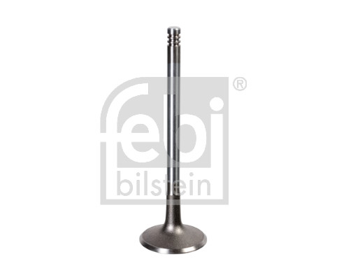 FE17386, Sací ventil, Ventil sací IN (1), FEBI BILSTEIN, 0641022, 090412277, 4500849, 90412277, 641022, 011VE30457000, 01-23087-SX, 0509.2016, 08584, 110-20050, 1213, 130106910, 147035000500, 201245, 20202-12601, 23342277, 2900.032, 29375, 32948, 40917386, 512129, 551213B, 70M0003-JPN, 824020, AIV9375, D920O05, EV216, IV29375, IV9375, M15746-2