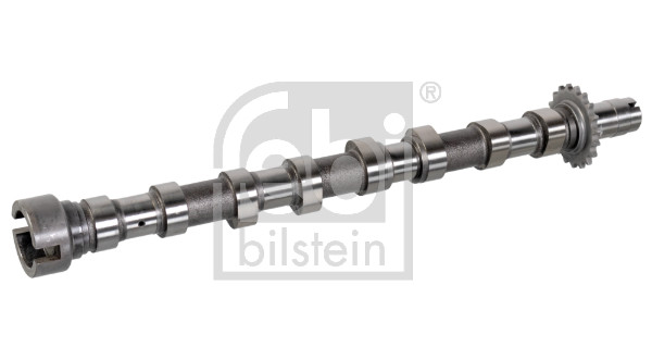 FE176294, Vačkový hřídel, Vačka, FEBI BILSTEIN, 0801.AE, 1231970, 1763.70, 30725026, 3M5Q-6A273-BA, 9654973580, 1495923, 3M5Q-6A273-BB, 801.AE, 9645976580, 16FI000, 17989N, 21433753, 21980, 33103458, 428016810, 50007012, 5481FB0025652, 566C0017, 668890K, 6FI000, 80SKV009, AA-FI000, AAFI000JM, AC7689, AZMT-30-053-2302, C333, CAM749, CM05-2175, CMS013FAIN