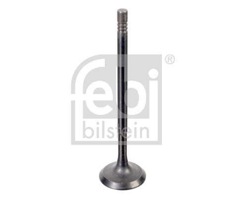 FE176538, Einlassventil, FEBI BILSTEIN, 132013562R, 13201-3562R, A2810530100, 132017322R, 13201-7322R, 2810530100, 021VE32020000, 110-29020, 2955, 33103620, 4051.032, 50205-12605, 539048, 827680, ADBP610041, AIV11057, EV394, IV10058, IV95271, MVV0549, R6799/SNT, UPGREN132013562R, V204954, V95239, VI0182, VL209300, WG1157980, MVV0549A, R6901/SNT, VI0186