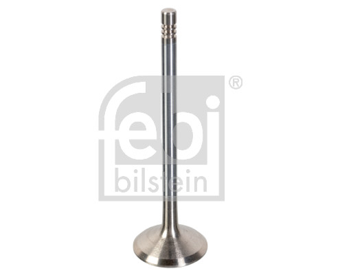 FE180481, Einlassventil, FEBI BILSTEIN, 1369828, 9454607, 01-23354-SX, 037VE31160000, 147051000000, 1919, 23434607, 33107698, 3377.032, 471206, 828060, AIV6298, IV6298, IV94706, MVV0466, PV1409, R6298/SCR, UPGVOL9454607, V95049, V998912, VI0160, VL147000, WG1053073, Z71492, 037VE32094000, 147051000001, MV419182T, WG1174459, 147051000002, MV419192GC