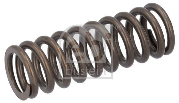 FE182909, Pružina ventilu, Ostatní, FEBI BILSTEIN, 23803420, 7403183211, 3183211, 7423803420, 030523D00001, 03420-VS, 2.10275, 760420, EAP02804, UPG0043183211, WG2309269, 83211-VS