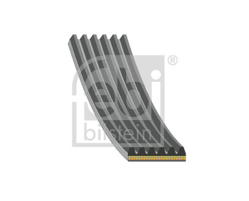 FE183221, Keilrippenriemen, FEBI BILSTEIN, 11287566789, 1606349580, 11287571377, 1611129080, 5750.RG, 0500060906, 05KD6PK905S, 06-00906-SX, 07.19.147, 10412, 109885, 1118104500, 193025, 1987945747, 20-1784, 2330255, 293558, 305P0049, 33108870, 341200005434, 46-060906, 501260903, 6KSY905EX, 6PK0900, 6PK0903XS, 6PK0905, 6PK0905L, 6PK1700, 6PK893, 6PK903