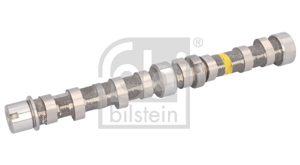 FE183801, Nockenwelle, FEBI BILSTEIN, 0055206898, 055206898, 0801.GK, 12715-68L10, 1724837, 55206898, 801.GK, 1000645N, 10-10066-SX, 22990, 33114199, 50007799, 71-1146, 80SKV020, AC1808, AZMT-30-053-2052, BS51-6250-BA, C254, CAM711, CM05-2110, CMS005FAIN, CS3920, EC237, ENT081011, GT1013065, HV0371, ID30507, NW5017, RO71-1146, S807I03A
