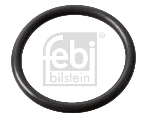 FE183989, Těsnění, držák trysky, Těsnění, FEBI BILSTEIN, 01153878, 047121666, 1677019, 7403165747, 99970764140, 20536487, 47121666, 7420536487, 3165747, 115.507, 16021400, 19400-001, 19869, 201796, 20184502, 2.10327, 316013, 36487-SR, 390.490, 520844, 60109, EAP00428, UPG0043165747, WG1192484, 65747-SR, WG1451717, WG2321610