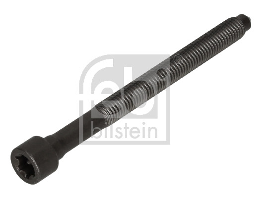 FE184669, Šroub hlavy válce, šroub, FEBI BILSTEIN, 06D103385D, 6D103385D, 001-10-29399, 005.610, 22-33040B, 258700, 26425, 30926425, 480125, 49123979, 8709066, A1125112, AZMT-52-021-9011, B10625, GS33502, RS0043VR1, V10-7363, WG1006409, 325.930, 8709074, GS33567, TH0071BT, V10-7366, WG1055366, TH0071BTVR1, WG1086948, TS0063BT, WG1103192, WG1189788, WG1242977
