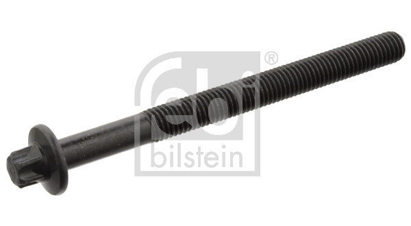 FE19417, Cylinder Head Bolt, FEBI BILSTEIN, 110563297R, 7700738987, 6001543378, 7700742045, 016213B, 1001336N, 115-06-617, 115617, 1217B0074, 14-32089-01, 22-51001B, 258063, 483220, 60919417, 759.371, 8709007, AHB1700SET, B986, BK6318, BL-617, BL617JM, EST-115-06-617, HB1700SET, MVU2338, SKBOK-23660073, WG1006160, WG1011788, WG1103130, WG1170447, WG1221119