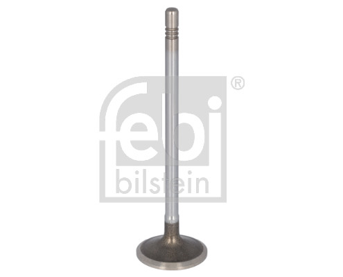 FE194623, Exhaust Valve, FEBI BILSTEIN, 504081062, 504081062SK, 504238928, 504238928SK, 066.222, 109301, 110-08131, 150170, 171116, 2484, 2484BMC, 30011800003, 30106-12601, 37130, 7.51267, 81-24666-SX, FT50132, MVV0456, R6369/BMCR, UPG005504081062, V222532, V98043, VE0011468, VE0069, VL164300, WG1015902, 007VA31881000, 827110, WG1053643, WG1093664