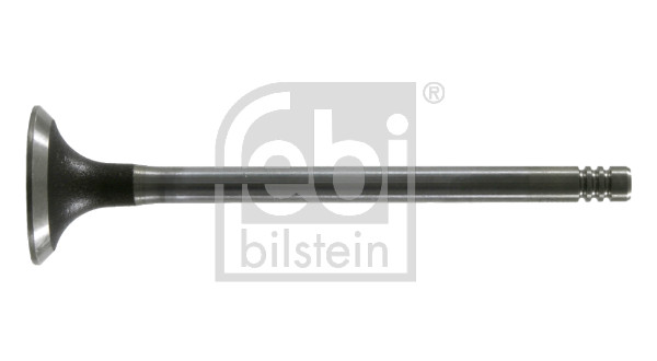 FE19629, Sací ventil, Ventil sací IN (1), FEBI BILSTEIN, 1041830, 928M6507C2A, 6742922, 928M6507E2A, 01-23194-SX, 013VE30542000, 1623, 3222.032, 50919629, 551623B, 70105-12605, 828206, AIV5519, IV5519, R4788/SCR, VI0019, VL106000, WG1025351, 01-23247-SX, 013VE30794000, 1633, 3236.032, R4996/SCR, VI0077, VL121000, WG1052953, WG1052991, WG1089862, WG1233029, WG2268797