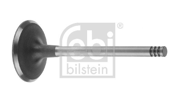 FE19958, Sací ventil, Ventil sací IN (1), FEBI BILSTEIN, 046109601G, 9186565, 046109601J, 074109601A, 46109601G, 46109601J, 74109601A, 01-23073-SX, 029VE30614000, 0839, 11091402001, 11.10551, 147050000200, 23436565, 2753.009, 30340007, 317573, 36789, 39423, 51490, 550839B, 825140, AIV9423, IV39423, IV9423, MVV0205, R4776/BMCR, UPGVW028109601H, V033380, V94547