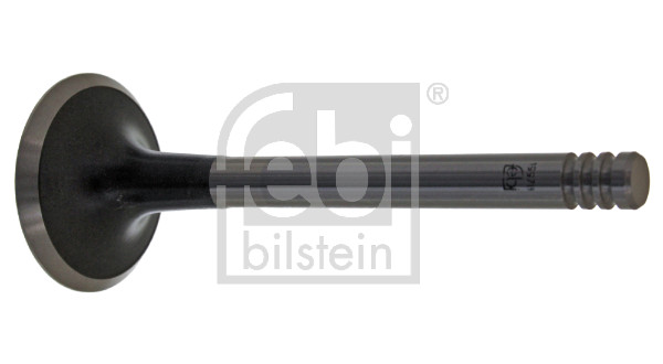 FE19978, Sací ventil, Ventil sací IN (1), FEBI BILSTEIN, 069109601G, 069109601H, 69109601G, 69109601H, 01-23150-SX, 029VE30364000, 0828, 101517, 11091793401, 147050002100, 20101-12604, 2118.009, 30919978, 318081, 39143, 550828B, 825210, AIV9143, IV39143, IV9143, R4483/SCR, V039123, V91336, VI0008, VL082000, WG1015745, Z71453, 2118.209, R4899/BMARCR, V039143