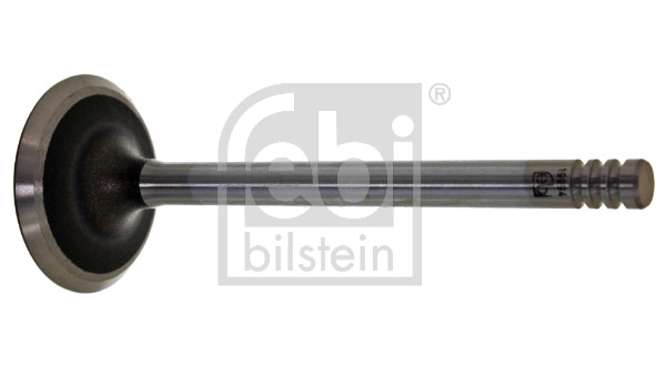 FE19994, Einlassventil, FEBI BILSTEIN, 028109601J, 28109601J, 01-23292-SX, 029VE30496000, 0435, 10220, 1053.002, 11090176601, 30340008, 33815, 39502, 550435B, 826258, AIV9502, B18144, IV39502, IV9502, MVV0439, PV1191, R4946/S, UPGVW028109601J, V039502, VI0026, VL117600, WG1052980, 32919994, B18192, MV404352GC, WG1212035, B19016