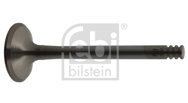 FE21024, Výfukový ventil, Ventil výfuk.EX (1), FEBI BILSTEIN, 038109611E, 38109611E, 01-24329-SX, 029VA31103100, 11090212901, 148050001900, 20104-12602, 2122, 2122BM, 30921024, 331124, 3520.009, 37002, 552122B, 825614, AEV6209, B18765, EV6209, EV9611, MVV0231, PV1251, R6209/BM, V94650, V998903, VE0063, VL139600, WG1016060, 148050001901, B18766, MV421222