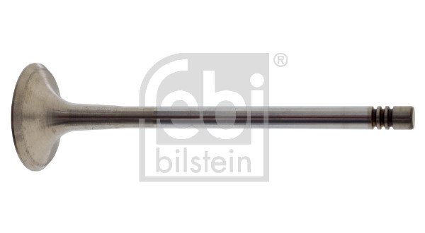 FE21034, Výfukový ventil, Ventil výfuk.EX (1), FEBI BILSTEIN, 058109611E, 58109611E, 01-24050-SX, 04965, 0970, 0970BWC, 107132, 11090216901, 1111305400, 148151000100, 20102-12607, 2959.036, 311535, 32921034, 33394, 550970B, 821770, AEV6189, B18635, EV33394, EV339, EV6189, HL0049VR1, MVV0237, PV1414, R6189/BMARCR, UPGVEVW058109611E, V033394, V94082, VE0700243